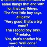 Comical Moments from the Classroom