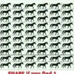 Can you identify any three-legged horses? See if you can find one or even several!