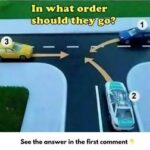 The Unforeseen Traffic Quiz: Are You Able to Tackle This Right-of-Way Dilemma?