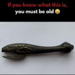 Exposing the Overlooked Legacy: How this Antique Became Indispensable