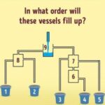What sequence will these vessels follow as they fill?
