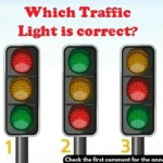 Which Traffic Light is Right? Discovering the Mysteries Behind Traffic Signals