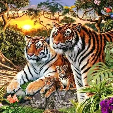 This Image Of Tigers Has Thousands Scratching Their Heads. How Many Do You See?