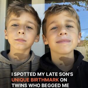 ‘We Want to Eat,’ Twins Beg Lady, She Notices They Have Her Late Son’s Birthmark