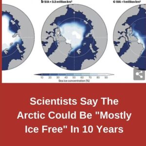 Scientists Predict the Arctic Could be Mostly Ice-Free in 10 Years