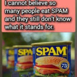 What is SPAM And What Is It Made of, Anyway?