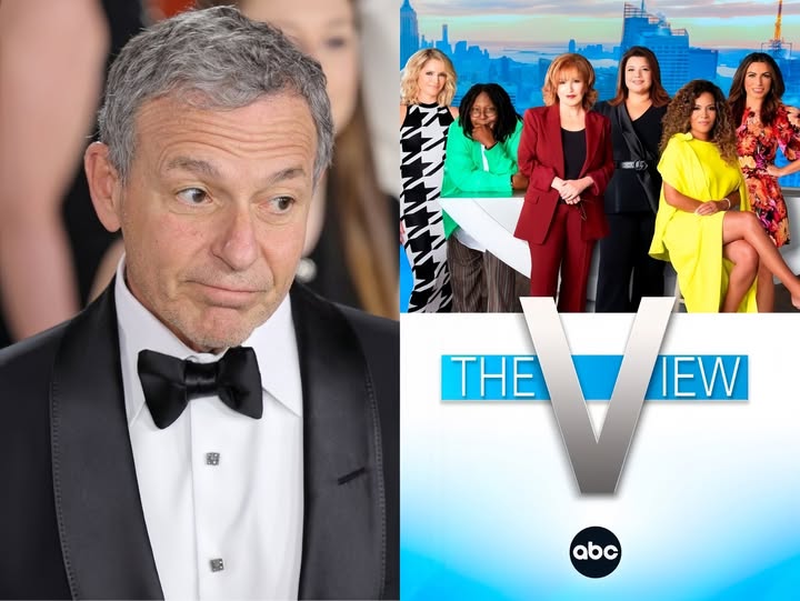 ABC’s New Owner Calls ‘The View’ ‘Worst Show Ever,’ Decides to Cancel It After Acquiring ABC
