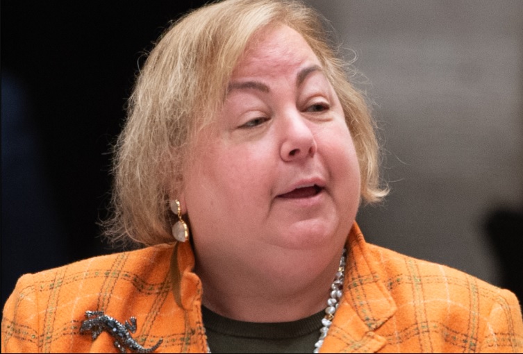 WATCH: Democrat Pitches Four States Seceding, Joining Canada to Resist Trump Presidency