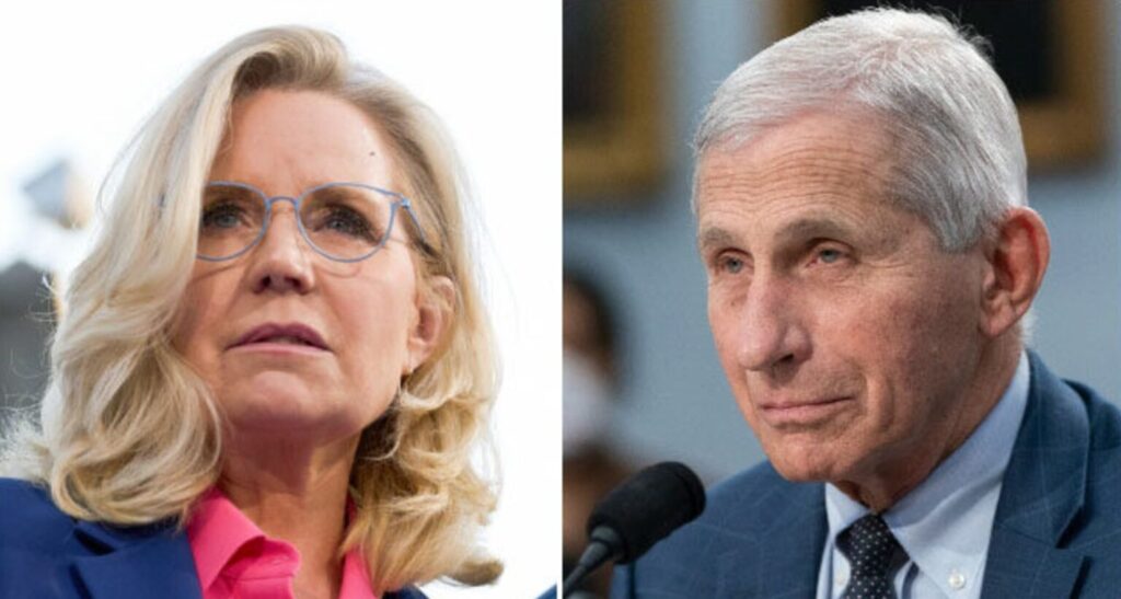 Biden’s Pardons Of Fauci, Cheney, Won’t Cover Lying to Congress: Analysts