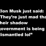 Elon Musk just said: “They’re just mad that their shadow government is being dismantled lol”