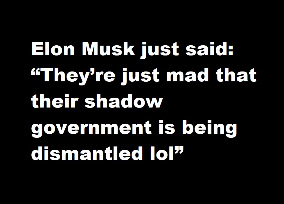 Elon Musk just said: “They’re just mad that their shadow government is being dismantled lol”