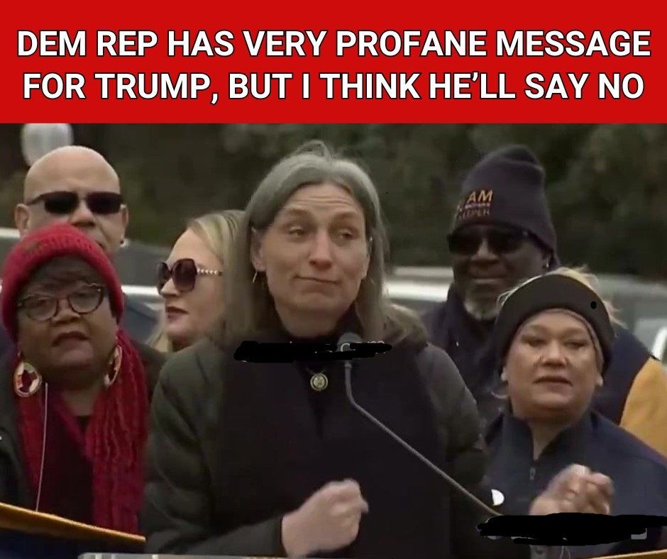Rep. Maxine Dexter says they Democrats have to “f*ck Trump”