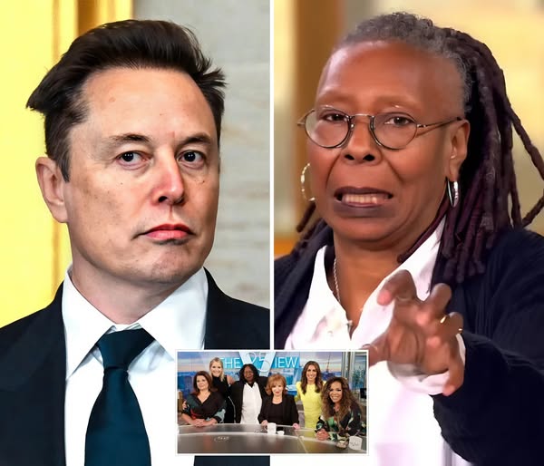 The V!iew Hosts React After Elon Musk Labels His Show “This Is A Meeting Place For Ignorant Women”