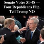 Senate Votes 51-48