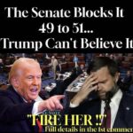 Senator Schumer Criticized Following Proposed Bill Targeting ICE Procedures