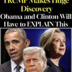 TRUMP Makes Huge Discovery