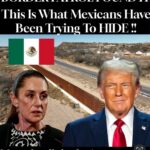 Border Patrol Found It