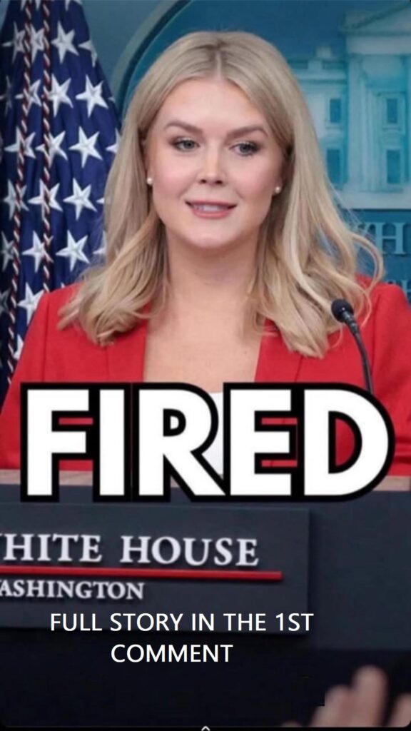 FEMA Boss Fired After Remarks To Congress