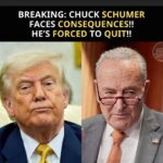 Trump Tells Schumer To ‘GO TO HELL’ Over Senate Nominee Deal Demands