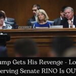 Potential Trump-Backed Challenger Emerges for Murkowski’s Seat