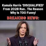 Carville Tells Kamala Harris That Dems Want Nothing To Do With Her In 2028