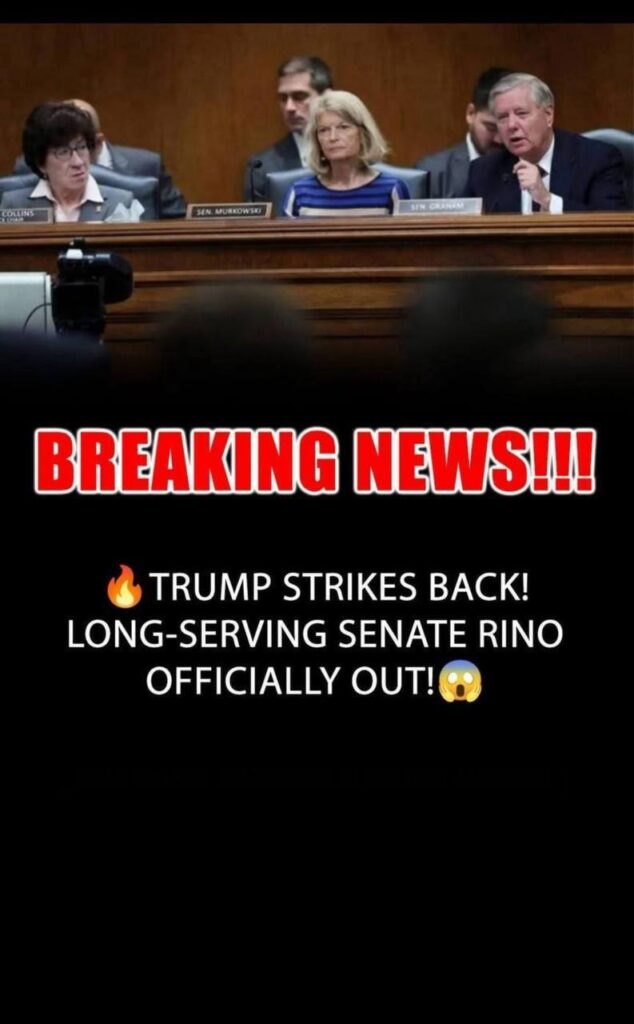 Trump Ally Preparing Senate Run Against Murkowski: Report