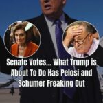 Big news from Capitol Hill: Trump’s energy agenda gets a powerful Senate win