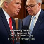 Something Terrible Just Happened To Chuck Schumer – Trump FINALLY Broke Him