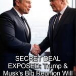 Trump, Musk Reunite to Lead Key Administration Project