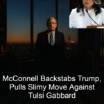 Senate Confirms Tulsi Gabbard as Director of National Intelligence, With McConnell Breaking Ranks