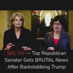 Trump Ally Reportedly Planning Senate Run Opposing Murkowski