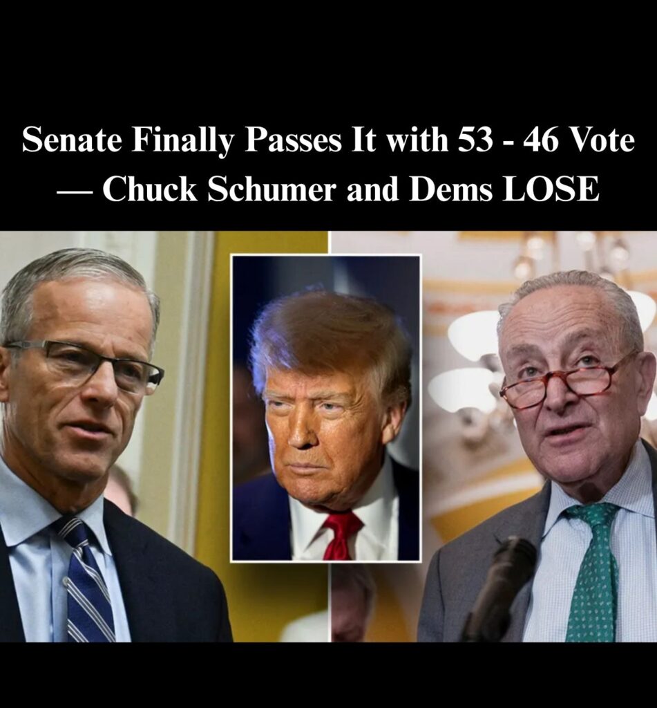 Senate Confirms Trump Nominee Anne-Leigh Moe As U.S. District Judge !