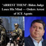 Chicago Judge Limits ICE Arrests at Courthouses, Sparking Deportation Showdown !