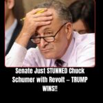 Fetterman, Other Dems Break Ranks On Shutdown: ‘Sends Wrong Message’