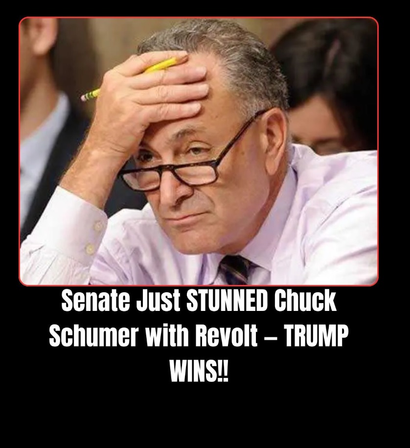 Fetterman, Other Dems Break Ranks On Shutdown: ‘Sends Wrong Message’