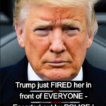 Trump Ousts Top Copyright Chief Following Removal of Library of Congress Director