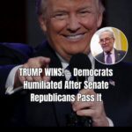 Senate Republicans Confirm More Than 100 Trump NomineesSenate Republicans Confirm More Than 100 Trump Nominees