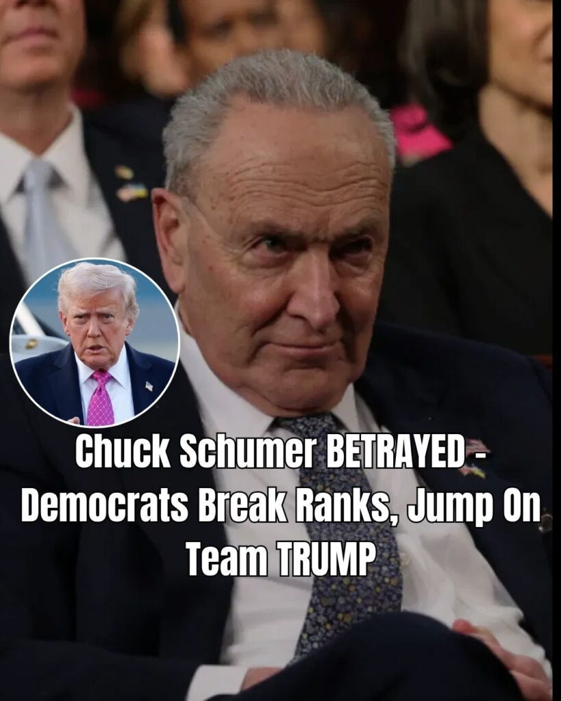 Group of Democrats Support Republican Plan to Restore Government Functions !