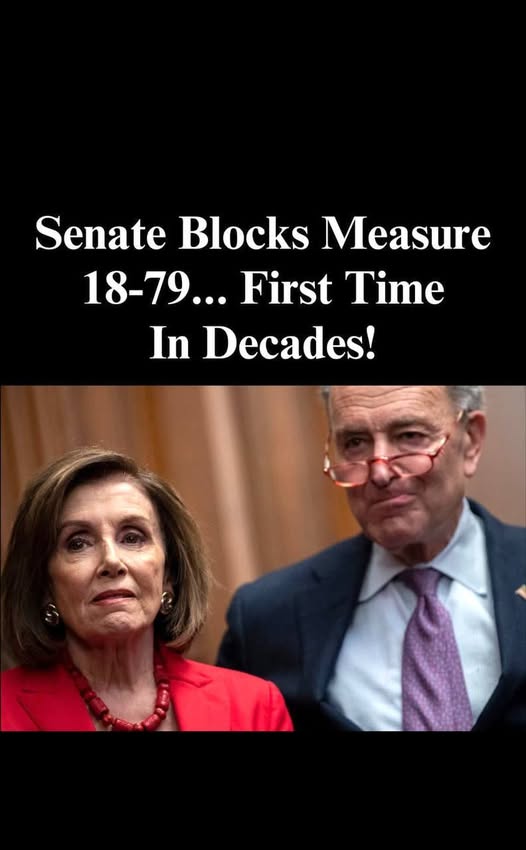 Senate Strikes Down Bernie Sanders’ Resolution to Block Arms Sale to Israel !