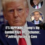 Americans Slam Democrats for Causing ‘Schumer Shutdown !