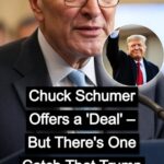 Schumer Offers Deal to End Shutdown, Republicans Unmoved !