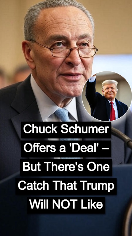 Schumer Offers Deal to End Shutdown, Republicans Unmoved !