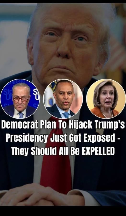 3 Dem Senators Buck Schumer, Vote On Government Funding Vote !