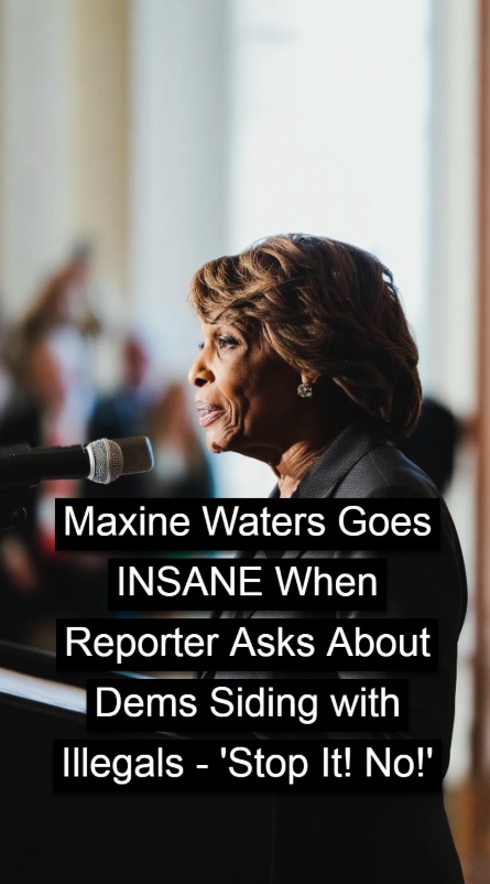Maxine Waters Criticized Following Remarks on Healthcare for Illegal Immigrants !