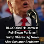 Dems Panic As Trump Gears Up For Mass Federal Firings During Shutdow !