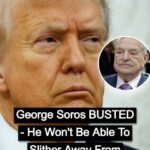 Soros Network Reportedly Provides Funding for ‘No Kings’ Demonstrations