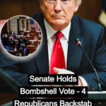 Senate Republicans Move to Uphold Trump-Era Tariff !