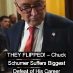 Liberal Commentator Acknowledges Democrats Are Losing the Narrative on Schumer’s Shutdown !