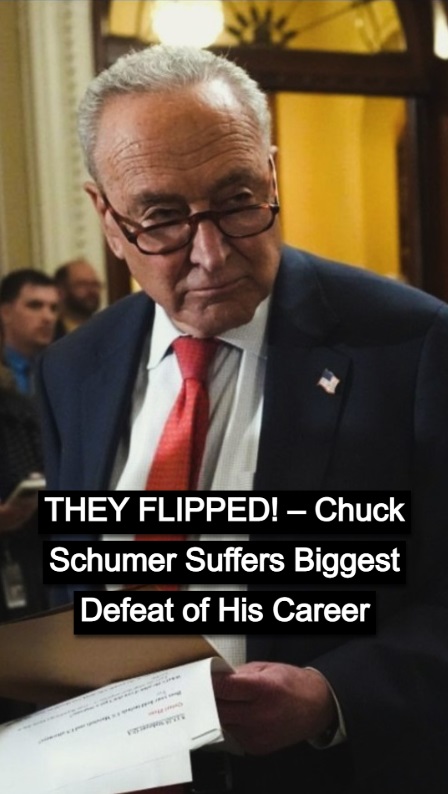 Liberal Commentator Acknowledges Democrats Are Losing the Narrative on Schumer’s Shutdown !