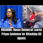 House Democrat Faces Up to 17 Years in Prison Over Clash at ICE Facility !